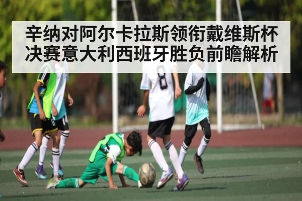 辛纳对阿尔卡拉斯领衔戴维斯杯决赛意大利西班牙胜负前瞻解析